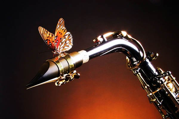 ���������Ĵ������Ͻ�����˹���ֲ�����